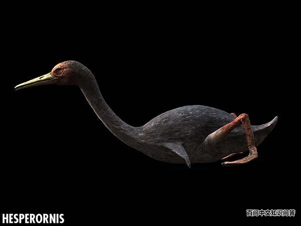 �����Ǹ�