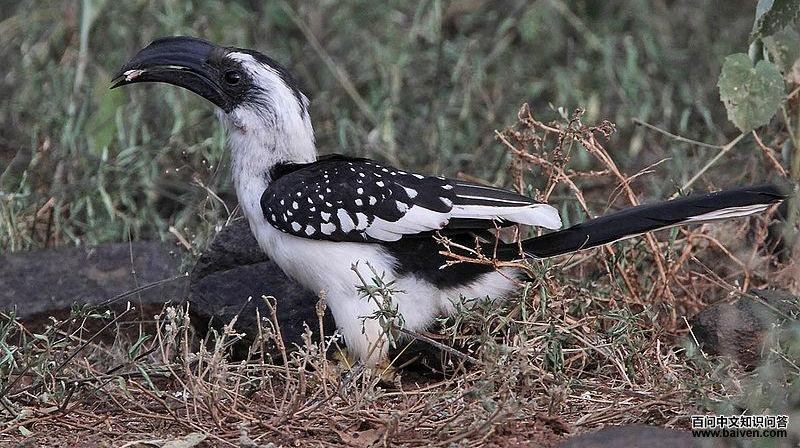 ��������Ϭ���ͼƬ