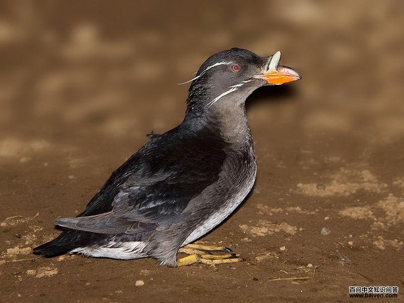 ���캣ȸ��ͼƬ