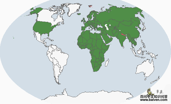 �׸�ë���ࣺ����ֲ�ͼ