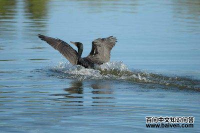 �������ˮ����Ѱ��������龰