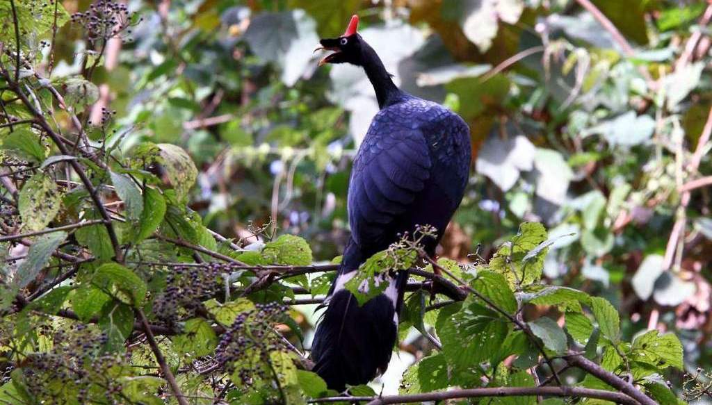 �ǹ�����ͼƬ