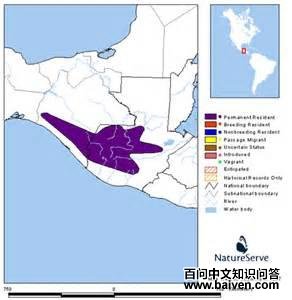 �ǹ��������ֲ�ͼ