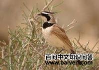 �ǰ�����