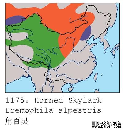 �ǰ��飺�����ֲ�ͼ