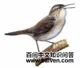 ������έ����