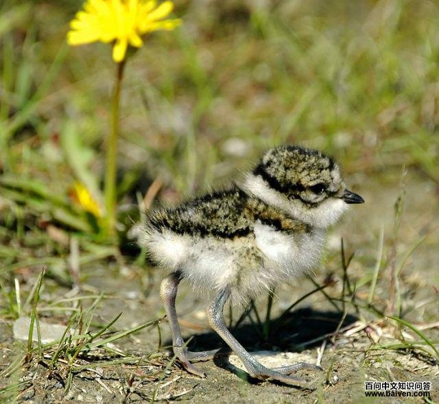 ���a������