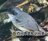 ��β�����l