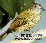 ��β�����l