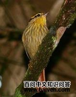 ��������ȸ