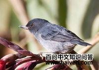 ����ȸ�c����ͼƬ