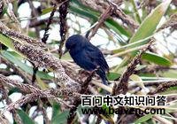 ����ȸ�c��