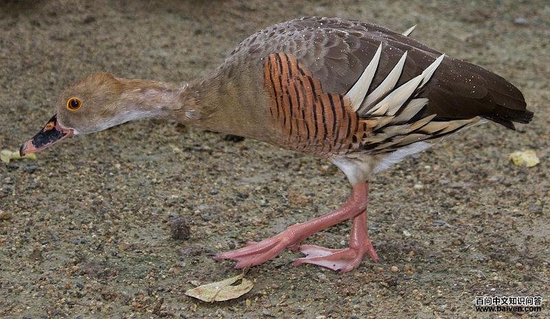 ������Ѽ��ͼƬ