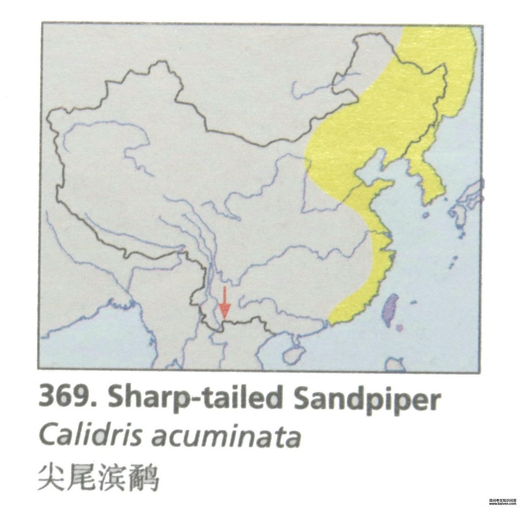 ��β���֣������ֲ�ͼ