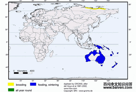 ��β����