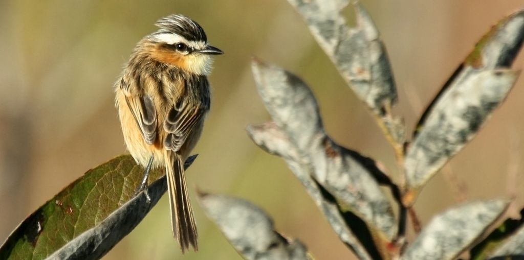 ��β���l��ͼƬ