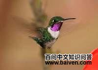 �׸��ַ���