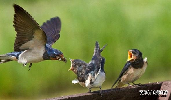 �������ιʳ����˲��