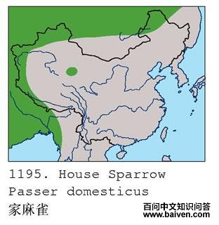 ����ȸ�������ֲ�ͼ