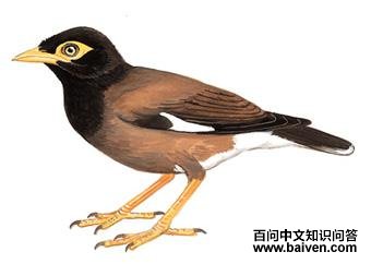 �Ұ˸磺��̬����ͼ