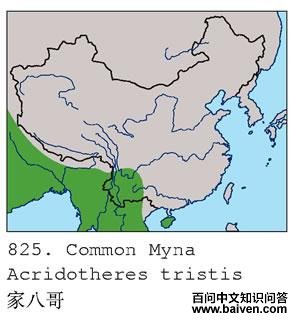 �Ұ˸磺�����ֲ�ͼ