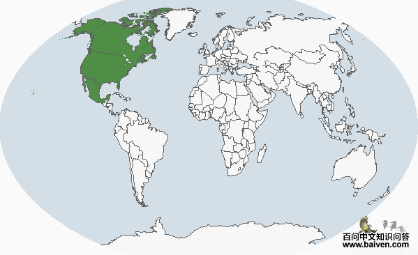 ������˷ֲ�ͼ