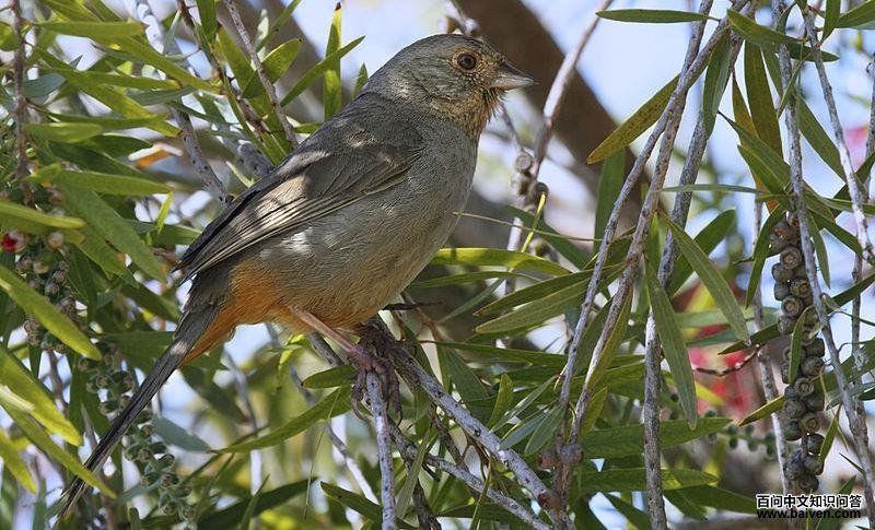 �������c��ͼƬ