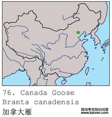 ���ô����