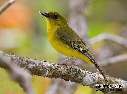 ����Х�l��ͼƬ