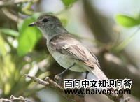 ���ձ�����l