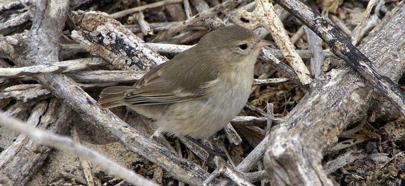 ��������˹ݺȸ����ͼƬ