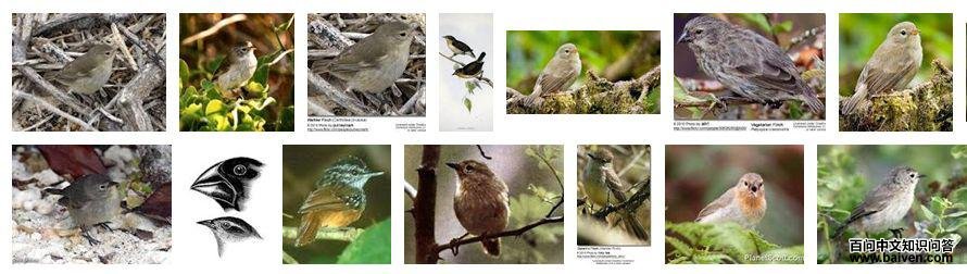 ��������˹ݺȸ��