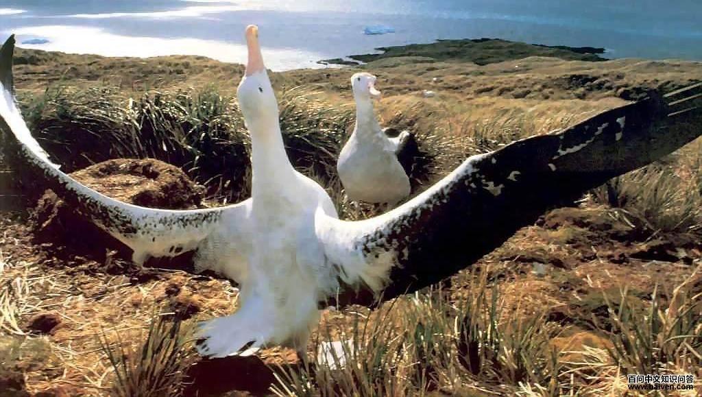 �ӵ�������