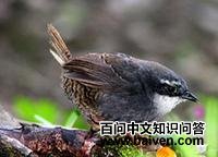 ���ϴ����ͼƬ