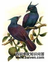 �Լ�������