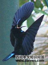 �ڱǷ�����