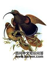 ��β���������