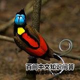 ��β��������