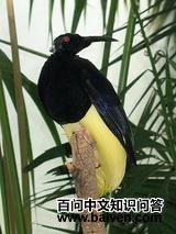 ʮ���߼�������