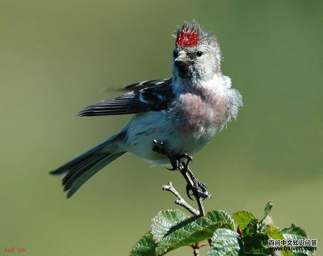 �����춥ȸ������