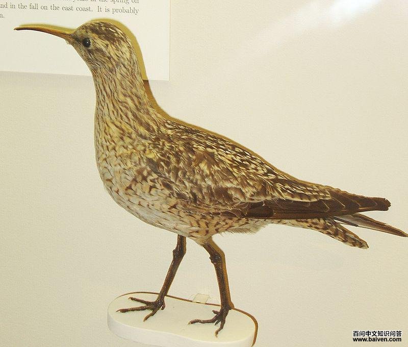 ������ֵ�ͼƬ