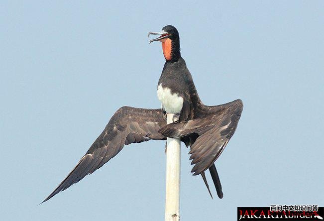 �׸�����������