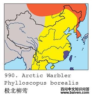 ������ݺ