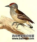 ��β����ľ��