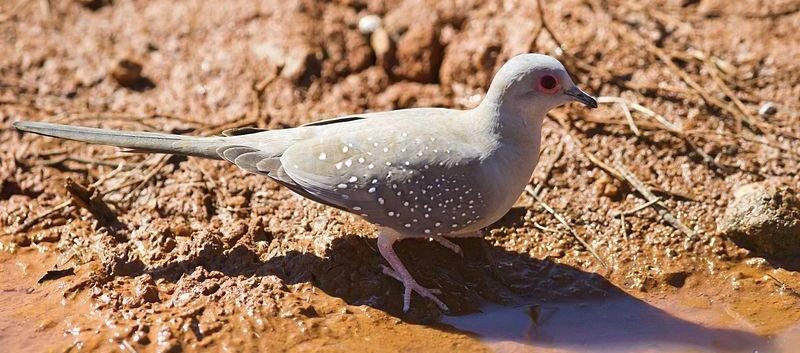 ������ͼƬ