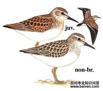 �����ֵ�ͼƬ