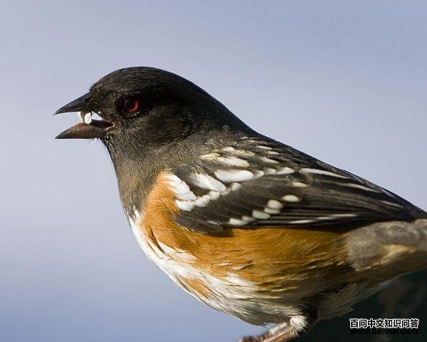 ���c����ͼƬ