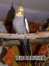 ��β����