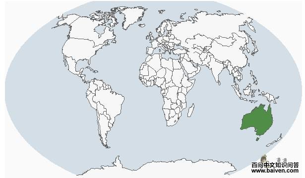 ��β����