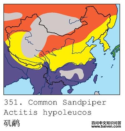 ���֣������ֲ�ͼ